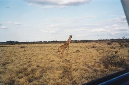 13-Tsavo Est